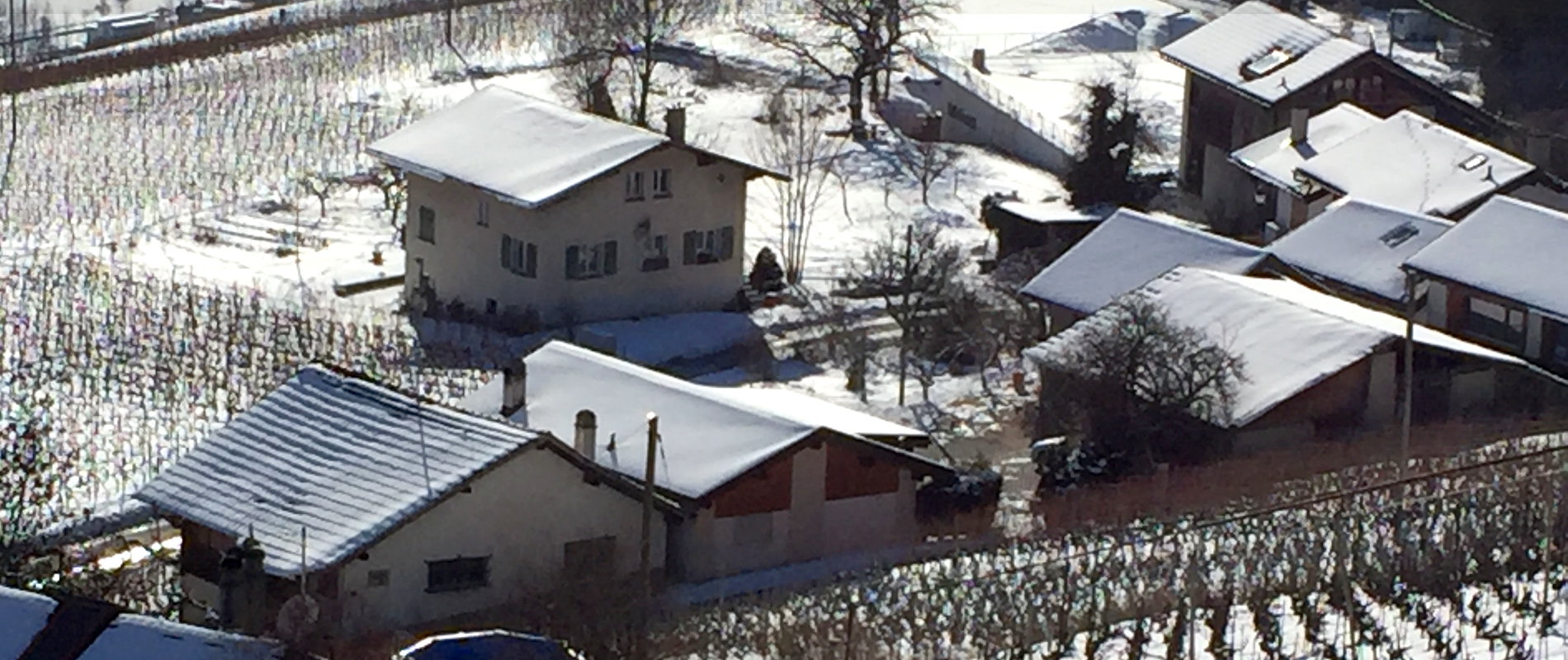 Flanthey — Bagnoud vins