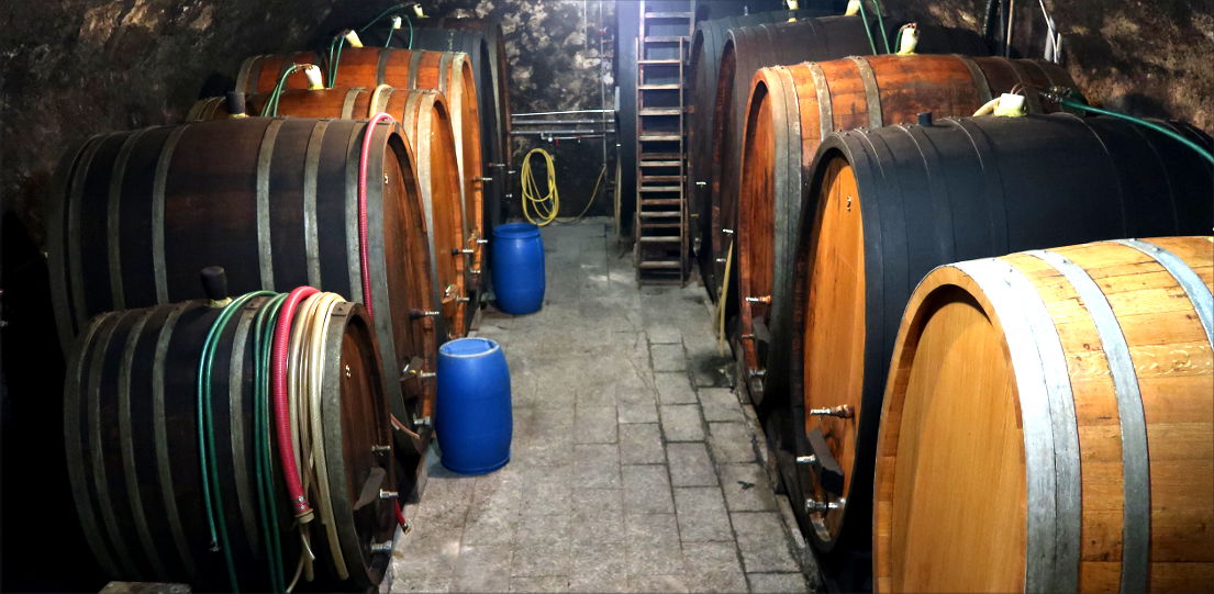 Aigle — Domaine de la Baudelière